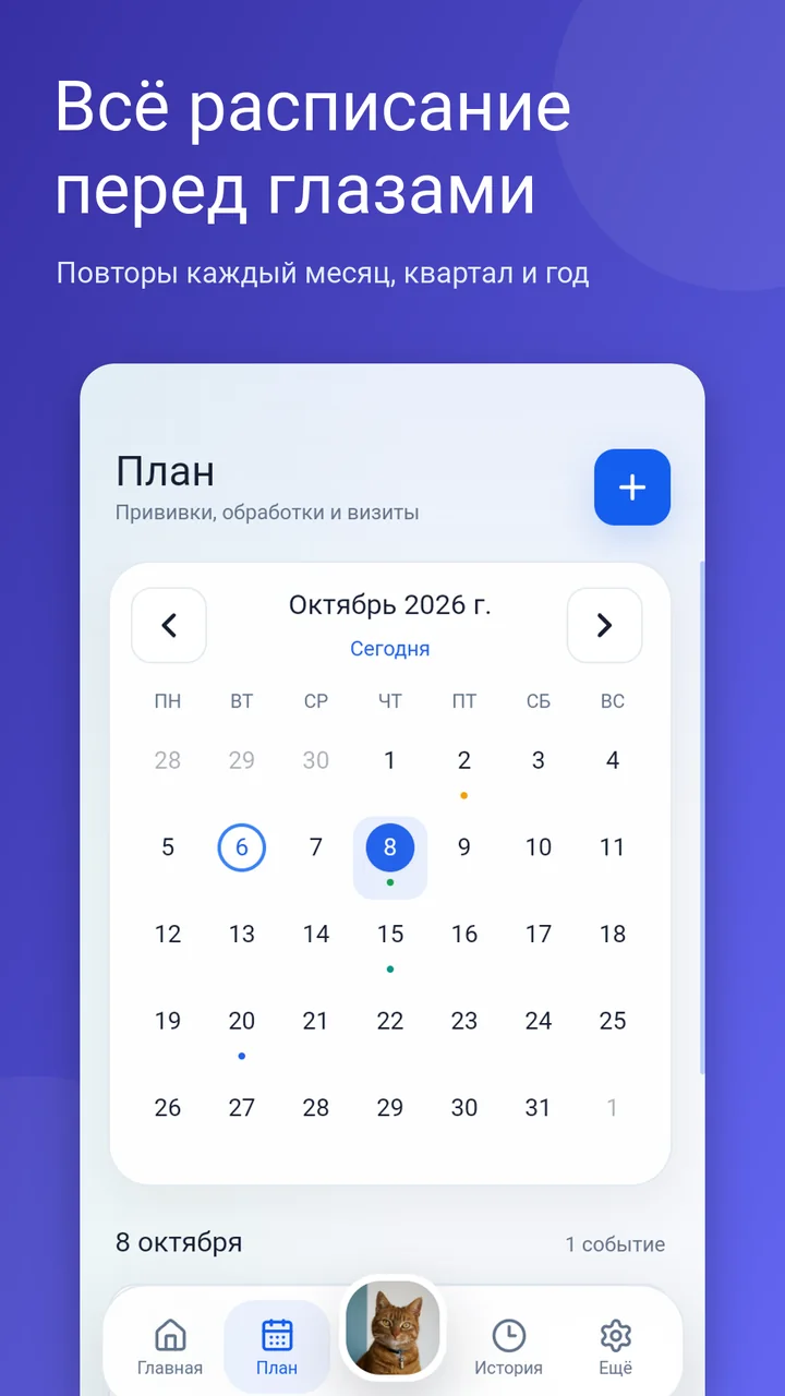 Monthly care plan calendar